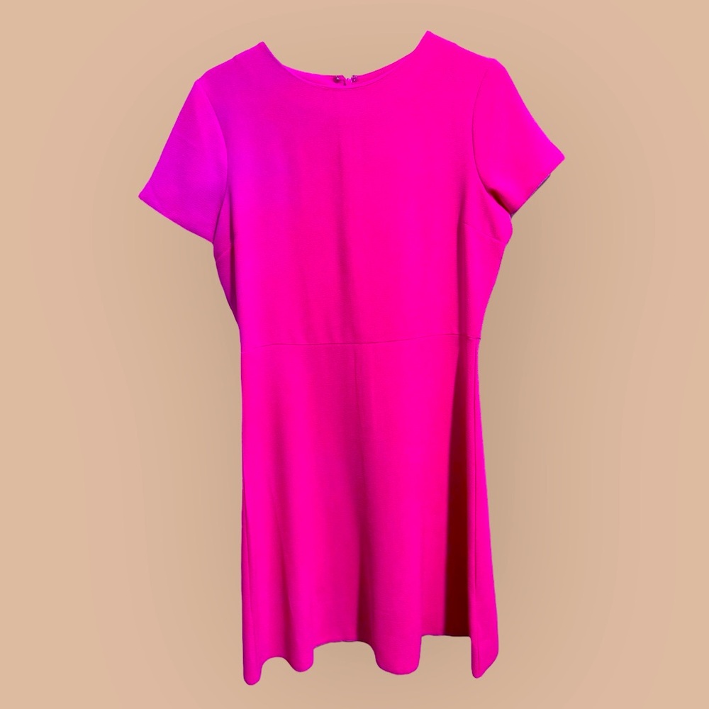 Gianni Bini Medium Vibrant Pink Short Sleeve Dress